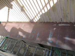 IMG_1111