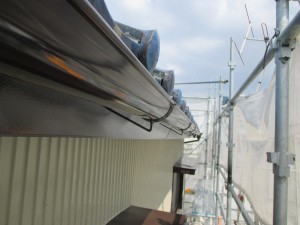 IMG_1183