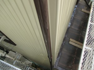 IMG_1190