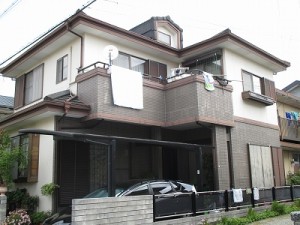 IMG_0454