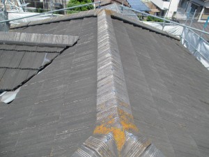 IMG_3318
