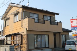 IMG_6116