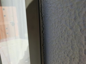 CIMG0010