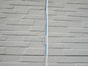 CIMG0581