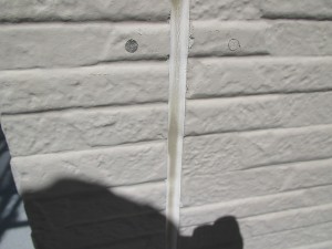 IMG_1352
