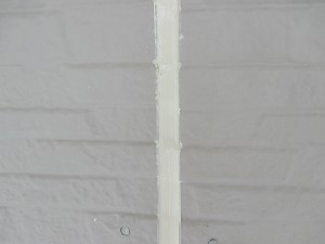IMG_1397