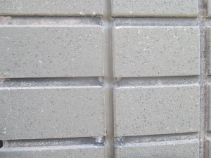 IMG_3373