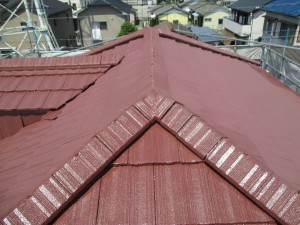 IMG_3431
