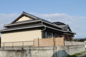 IMG_5616