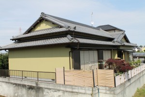 IMG_6080