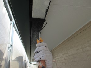 IMG_2817