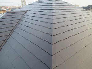 IMG_3957