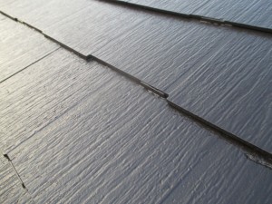 IMG_3963