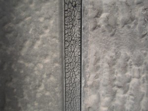 IMG_5778