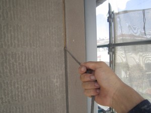 IMG_5781