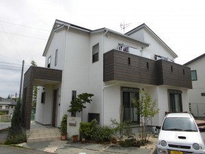 CIMG1484