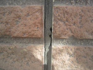 IMG_6307