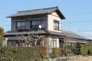 IMG_9310
