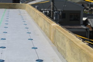 IMG_9763