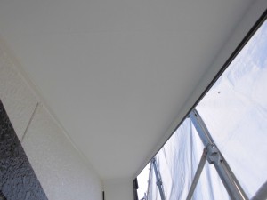 CIMG3119