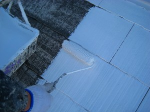 img_0251
