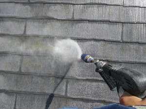 img_4174
