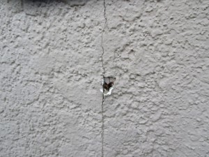 img_4201