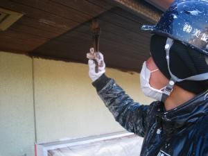 img_0262