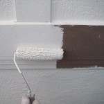 DSCF2095