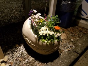 20170410_193731