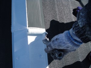 DSCF2489