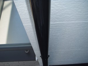 DSCF3164