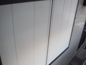 DSCF3175