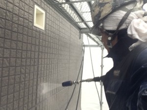 IMG_8772